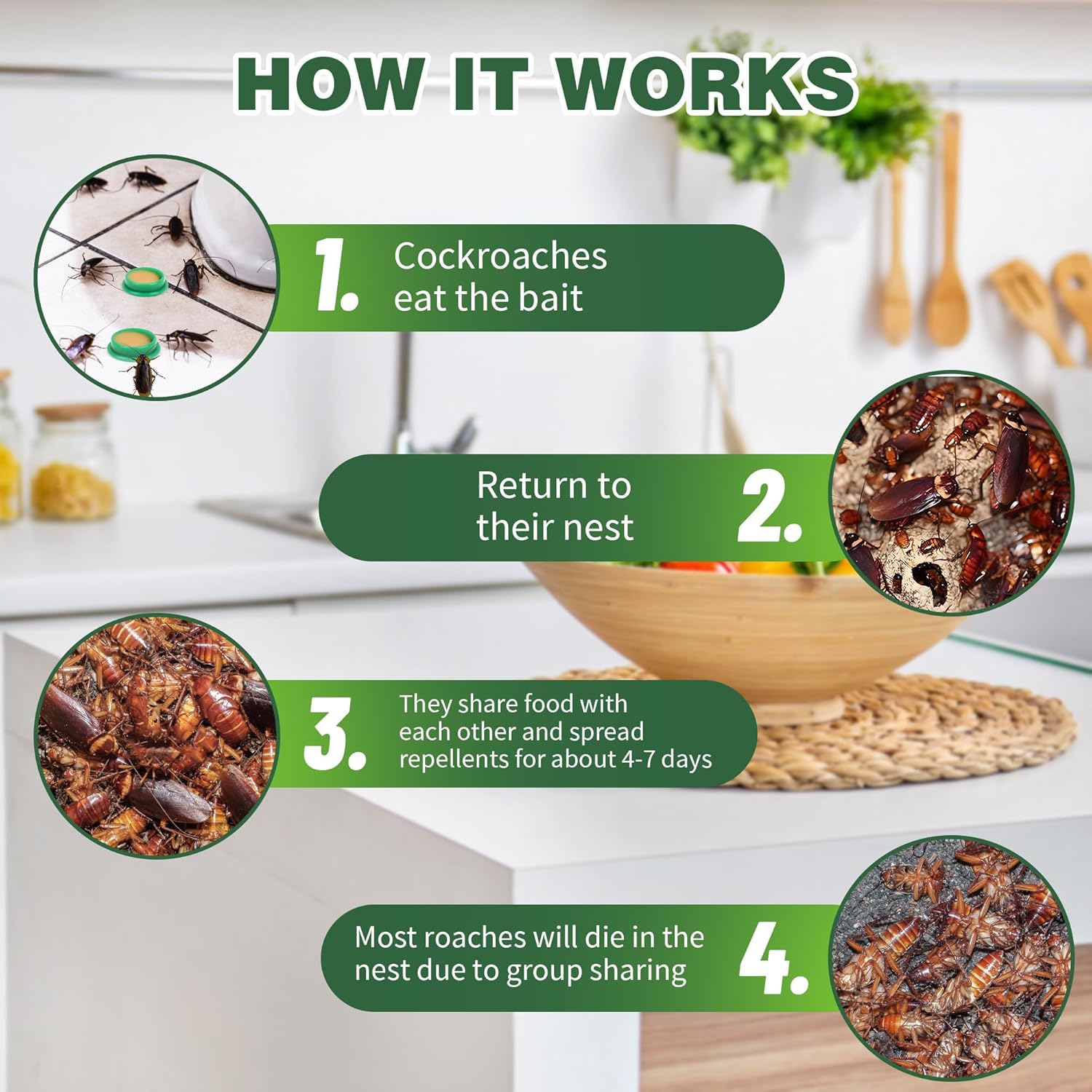 Reclaim Your Home, Breathe Easy Again!